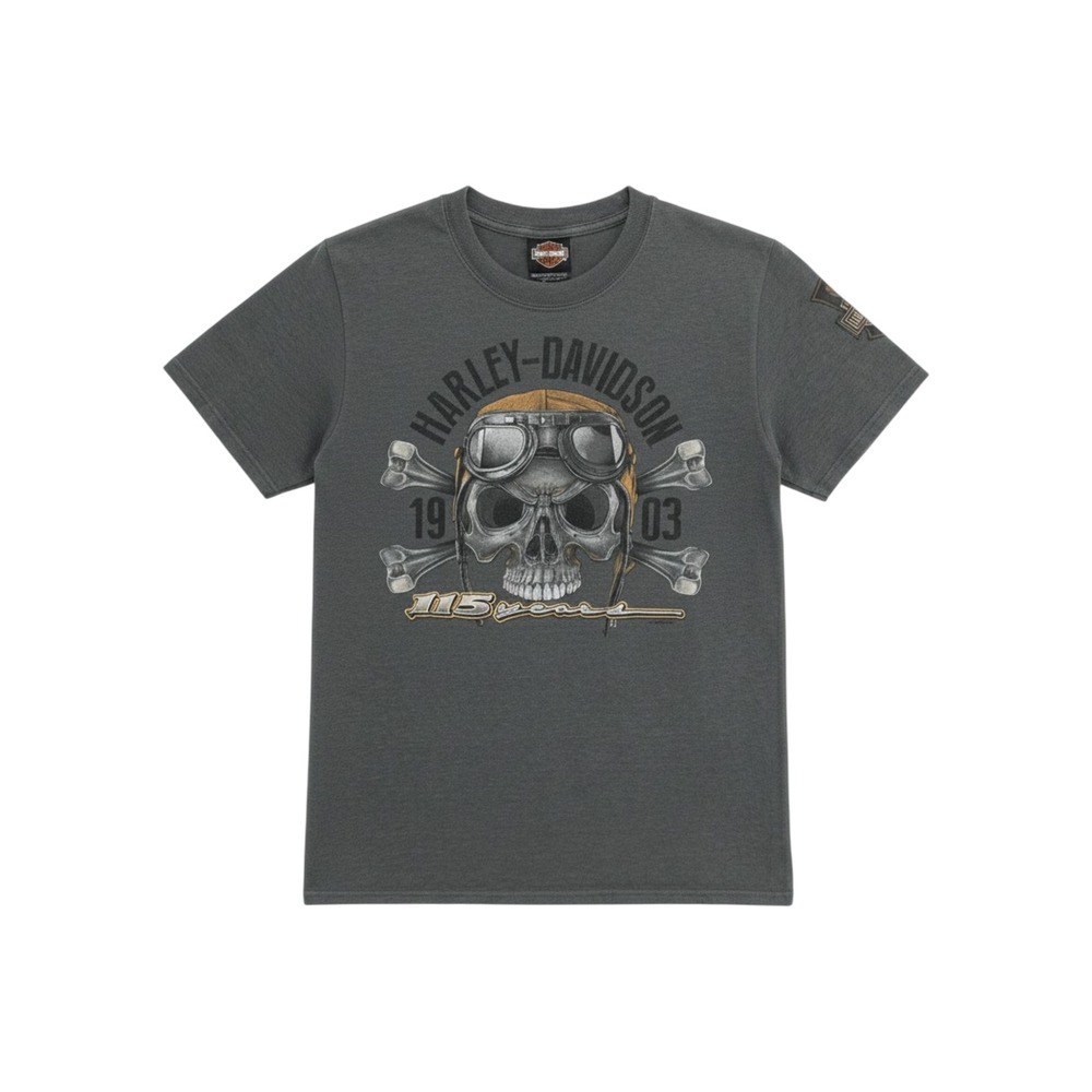 Harley Davidson Graphic T-Shirt Mens S Biker Moto Grunge‎ 115th Anniversary
